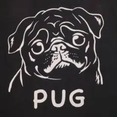 OJICO　オジコ　PUG　パグ　Tシャツのサムネイル