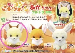 ちょコンとキツネ　あかちゃん　JBサイズ