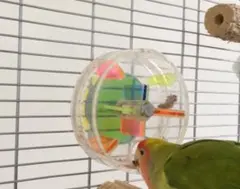 Item thumbnail for item 1cb9d89c-827c-499d-b955-7b125892ec70