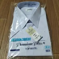 Item thumbnail for item 4be4bfd3-398f-4990-ae60-f0611acee2de