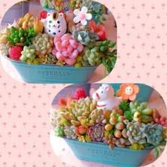 ❤️多肉植物❤️そのまま飾れる寄せ植え❤️2点セット