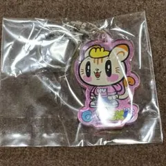 小森隼 ジェ猫 アクリルキーホルダー