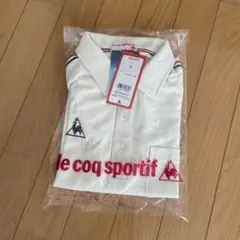 Item thumbnail for item d3291aeb-2d02-4aa1-999e-ea2a40b663dc