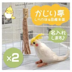 インコちゃんの✩.*˚しらかば＆国産本革のかじり亭　手書きで名入れ　２個セット
