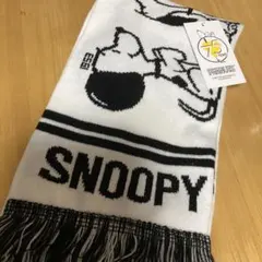 Item thumbnail for item b9c60ef3-f819-43bd-a57f-397c606009e2