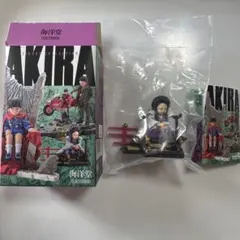 【新品】海洋堂　AKIRA3 miniQ ミヤコのサムネイル