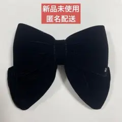 最終価格アレクサンドルドゥパリベルベットリボンバレッタ2025購入新品未使用 最終価格アレクサンドルドゥパリベルベットリボンバレッタ2025購入新品