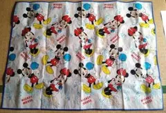 Item thumbnail for item 8bb42e90-3554-4a93-a7ff-eb171c7d282d