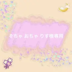 そちゃ おちゃ りす様専用