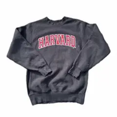 90s リバースウィーブ MV SPORT PROWAVE スウェット Ｌ相当