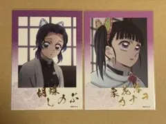 鬼滅の刃　胡蝶しのぶ　栗花落カナオ　 トレーディング箔押しブロマイド 柱稽古編