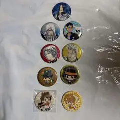 家庭教師ヒットマンREBORN! 缶バッジ9個セット