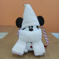 東京ディズニーリゾート　リルリンリン　2024　ポシェット　ショルダー