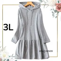 2 3L 大きいサイズ レディース ワンピース チュニック パーカー Z
