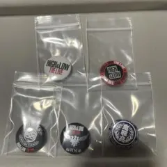 HiGH&LOW THE LIVE 缶バッジ　【5点セット】
