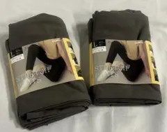 GUNZE Tuche ストレッチパンツ レギンス Lサイズ 2枚セットのサムネイル