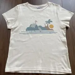 PETIT BATEAU★プリントTシャツ★半袖★アイボリー★140cmのサムネイル