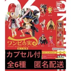 2025年最新】ワンピの実まとめ売りの人気アイテム - メルカリ