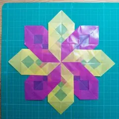 【トランスパレント】黄×ピンク