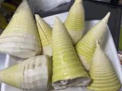 けのこ　干したけのこ　乾燥たけのこ200g 2026年もののサムネイル
