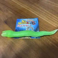 スポテッドモレイ シーモンスターズ　&co デアゴスティーニ　アンドコ