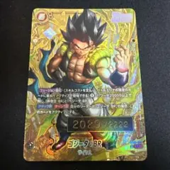 ゴジータ　シリアル　2029 フュージョンワールド