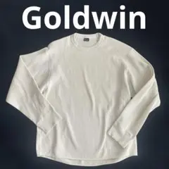 【美品・定価1.5万】Goldwin ワッフルライト ロングスリーブTシャツ Mのサムネイル