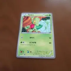 キモリ プロモカード 限定 セブンイレブン ポケモンカード ADV-P