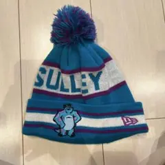 neweraニット帽モンスターズインクサリー