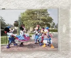 ディズニー　ギャラリー　クール・ザ・ヒート　ミキミニドナグマク　2L版②