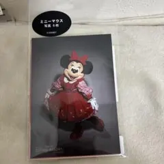 ディズニーリゾート 写真セット ミニーマウス