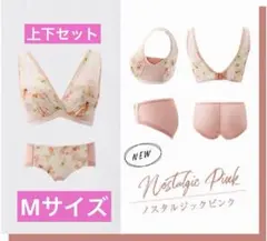 未使用》DR METHOD ノンジーブラ&ショーツセット - メルカリ