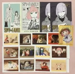 SPY×FAMILY ぱしゃこれ クリアカード セット