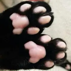 カナ様 オーダーページ