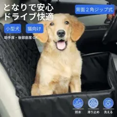 Item thumbnail for item afbe3cc2-1dce-4aa4-98c9-ee920bce042f