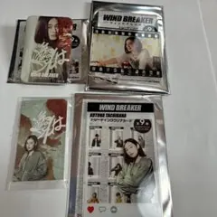 Item thumbnail for item 5022fbe6-2ef5-4867-a4a4-013d0203a62e