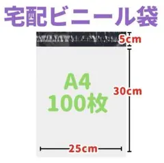 A4 宅配ビニール袋 100枚　宅配袋 郵送袋 梱包資材 配送用 ビニールバッグ