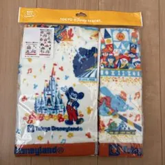 東京ディズニーリゾート　タオル　2枚セット