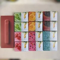 DR.VAPE Model3 レッド 本体＋フレーバー12個 新品未開封