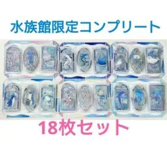 正規品　グラスパーラー　水族館限定　クラゲイルカサメペンギンアザラシクのサムネイル