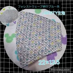 Item thumbnail for item 4dcd6a38-7feb-48ae-9f2d-3ada5f302244