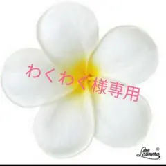 わくわく様専用　ミニチュア