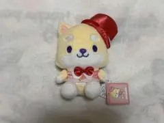 JO1 豆原一成 JOCHUM まめちぃ おめかしシリーズ ぬいぐるみ
