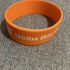 Item thumbnail for item 38486a5f-d4e5-4db6-9d3b-d285808d3189