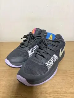 Item thumbnail for item d640620c-f120-4134-bf2c-96f14486af35