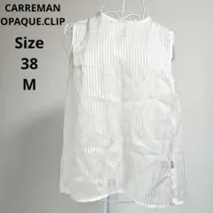 【CARREMAN OPAQUE.CLIP】シアーストライプカットソー　38 M