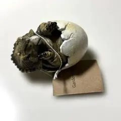 恐竜 卵から孵るトリケラトプス 置物のサムネイル