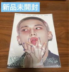 karmaアコーディオン ヒョンジン