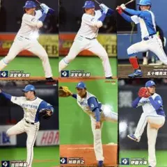 日ハム トレーディングカードセット
