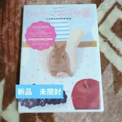 Item thumbnail for item ba92c996-ea37-4446-b1bc-d7b4881367de